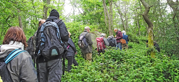 Sorties GERSAR à Milly-la-Forêt en mai 2023