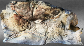 Abri du Rocher des Potets en 3D