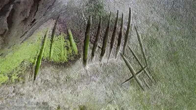 Compte Rendu de la Sortie GERSAR de juin 2025 (Vallée de Tramerolles)