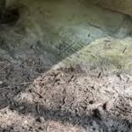 Sortie au rocher Bouligny (complet !)