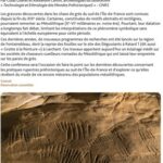 Musée de Nemours, conférence sur "La Grotte à la peinture".