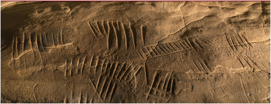 Conférence au musée de la préhistoire à Nemours (samedi 24 janvier 18h – 19h30)