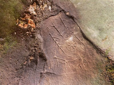 Sortie au Gâtinais oriental (1/4)   Sortie complète !