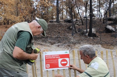 Réouverture partielle du massif forestier de Fontainebleau !