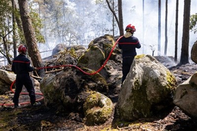Incendies de forêt de Fontainebleau, rappel des obligations.